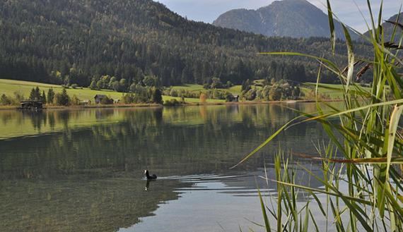 Haus Schluder - Familie Stanitzer Hotell Weissensee Eksteriør bilde